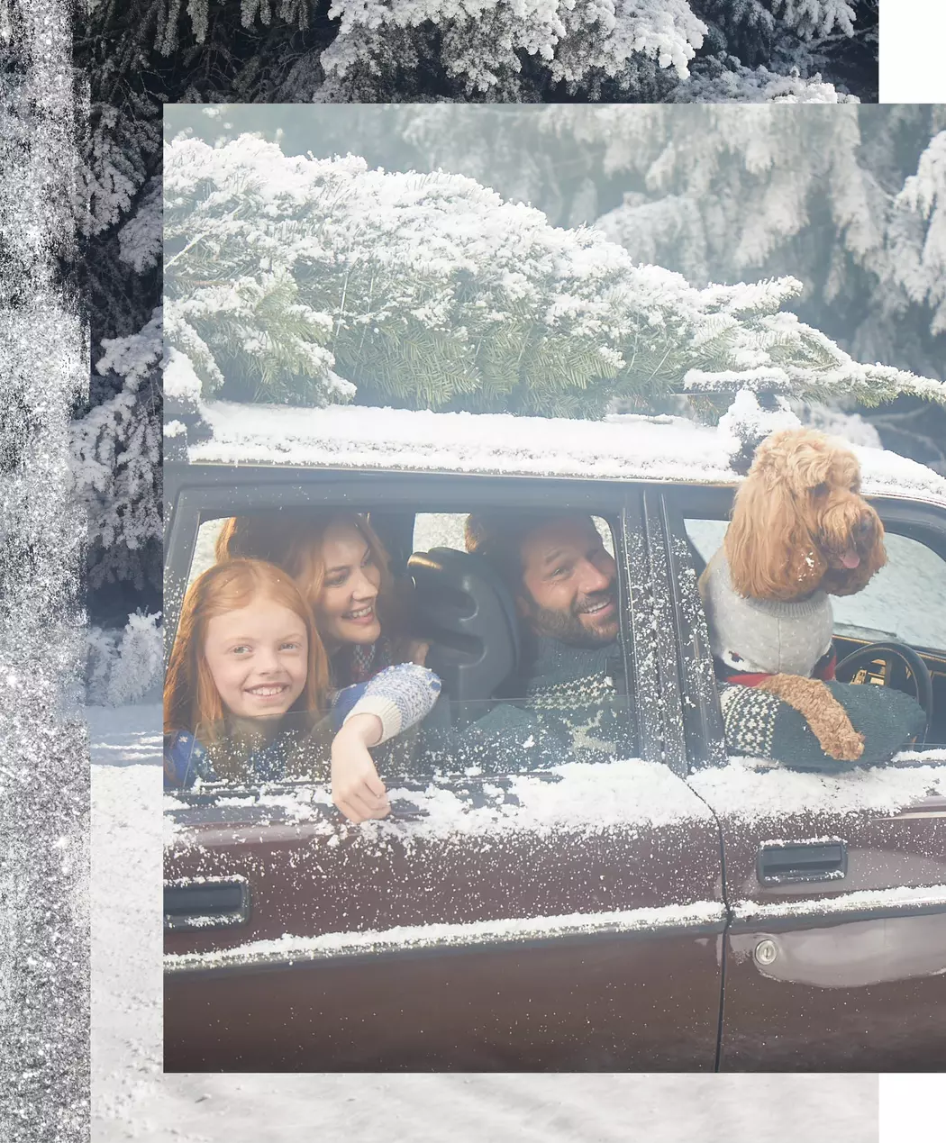 Fashion Clothing Store -Fashion Clothing Store 2423 H T9 left