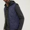 FatFace Blue Hascombe Gilet